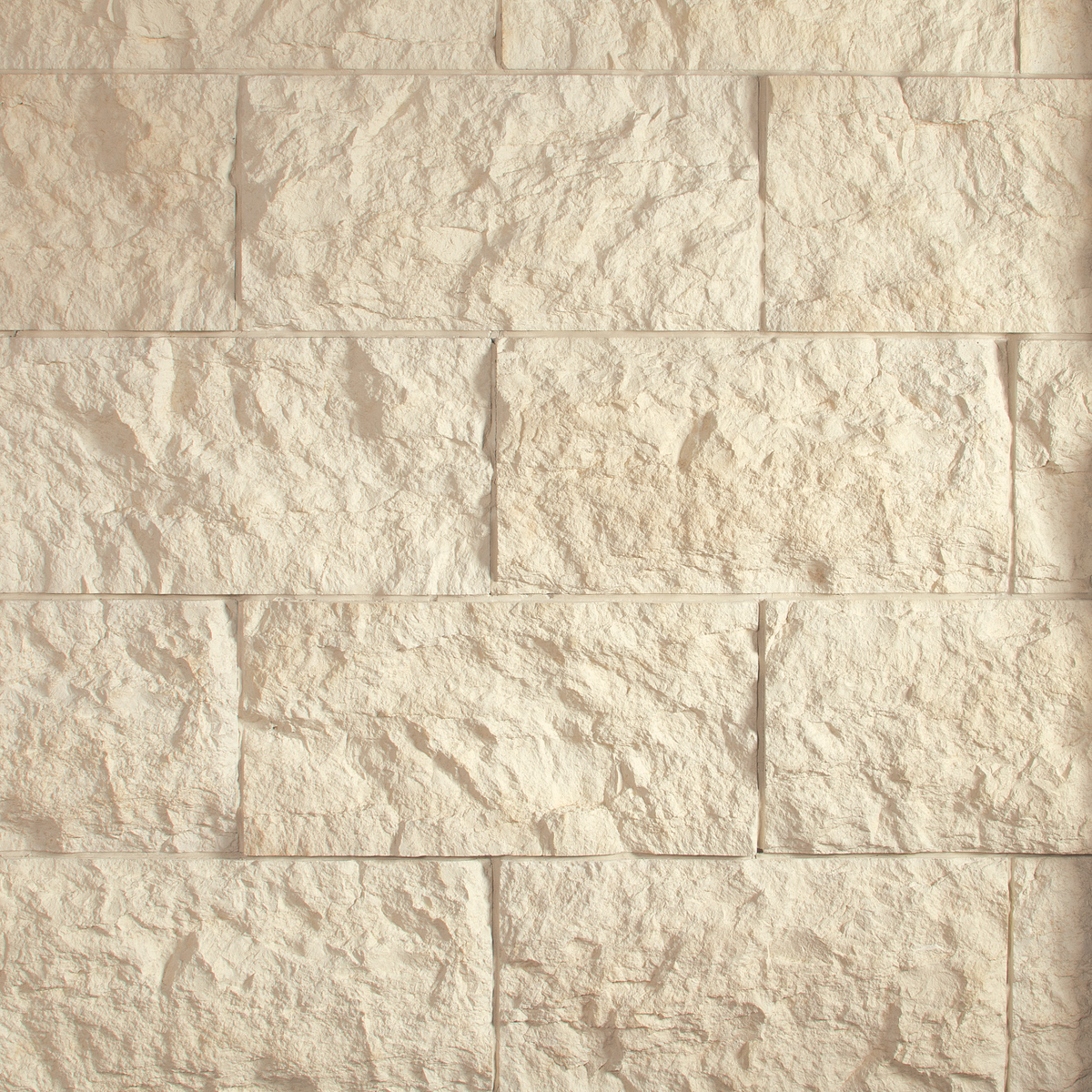 Sandollar / Corner / Large Box