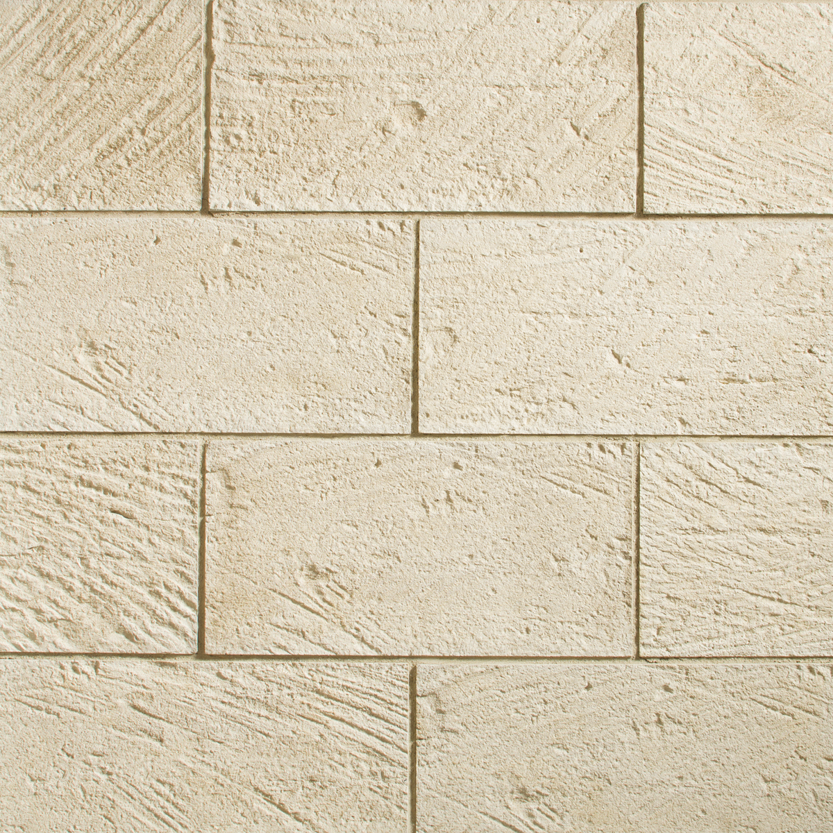 Sandollar / Flat / Small Box