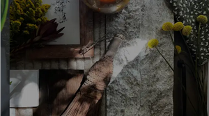 Order <span>Free</span> Samples