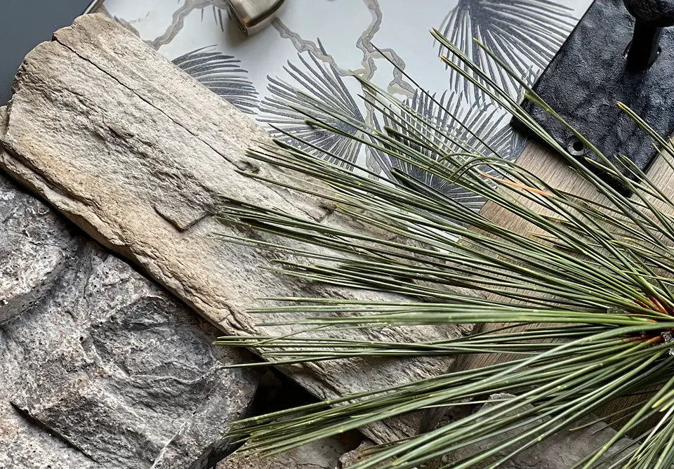 Ready to Partner with Creative Mines?